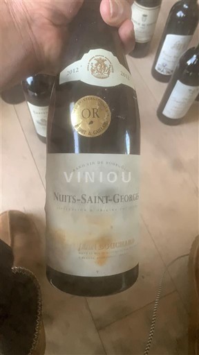 Bourgogne Nuits-Saint-Georges Jean Bouchard 2012