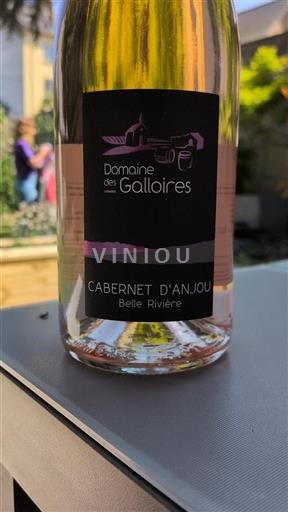 Vallée de la Loire Cabernet-d'anjou Domaine Des Galloires Belle Rivière 2024