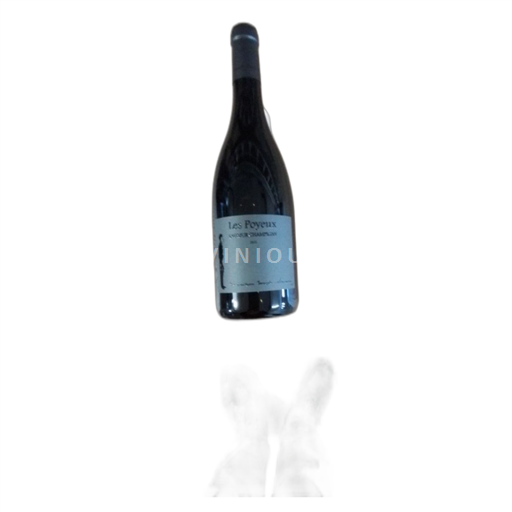 Vin Rouge sec Les Poyeux Le Petit Saint Vincent 2021 France Vallée de la Loire Saumur-champigny AOC