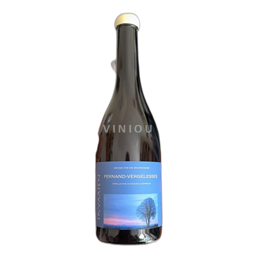Vin Blanc sec Pernand-Vergelesses Skyaasen 2023 France Bourgogne Pernand-vergelesses AOC