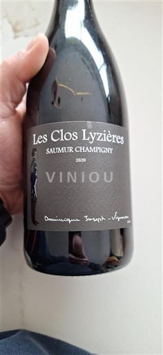 Valle della Loira Saumur-Champigny Dominique Joseph Les Clos Lyzieres 2020