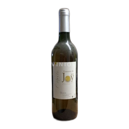 Sudoeste Côtes de Gascogne Domaine Joÿ 2008