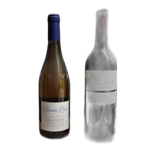 Languedoc in Roussillon Côtes de Thongue Domaine Boyer Chardonnay Neleten.