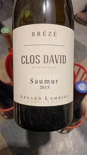 Valle del Loira Saumur Clos David 2015
