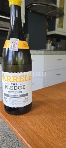 Regione Costiera Stellenbosch The pledge 2022 2022