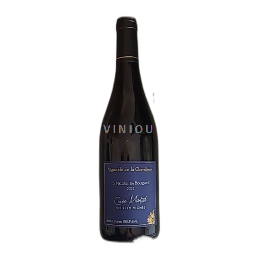 Vin Rouge sec Cuvée Martial Jean-Charles Bruneau 2022 France Vallée de la Loire Saint-Nicolas-De-Bourgueil AOC