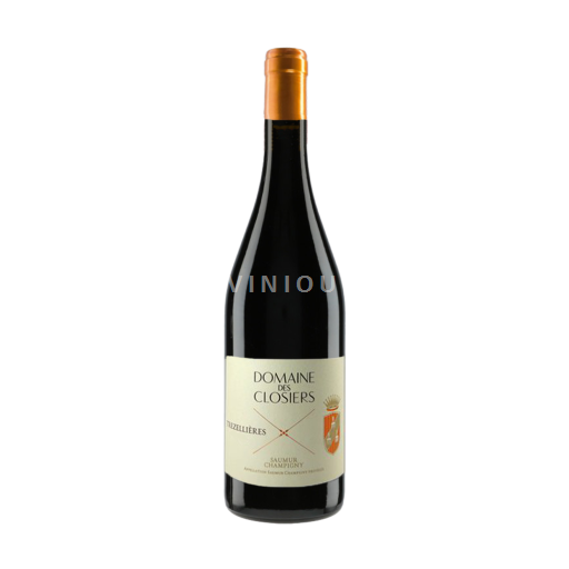 Valle della Loira Saumur-Champigny Domaine Des Closiers trezellières 2021