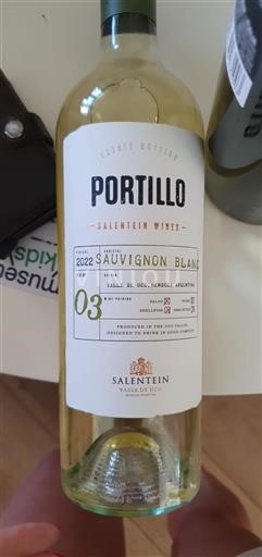 Mendoza Valle de Uco Salentein Portillo 2022