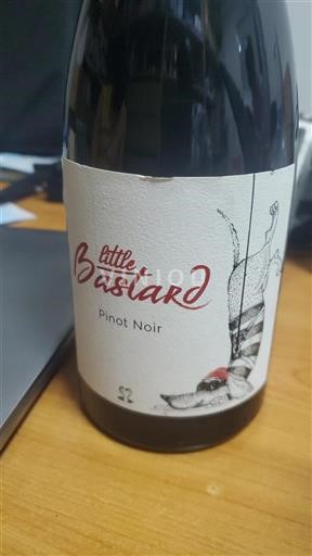 Alsasko Rulandské modré Little Bastard Neročník