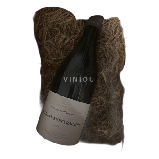 Bourgogne Puligny-montrachet Domaine Berthelemot 2021