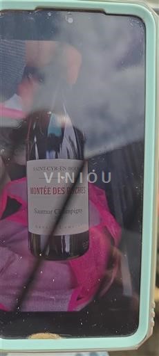 Valle della Loira Saumur-Champigny Arnaud Lambert Montée des Roches 2021
