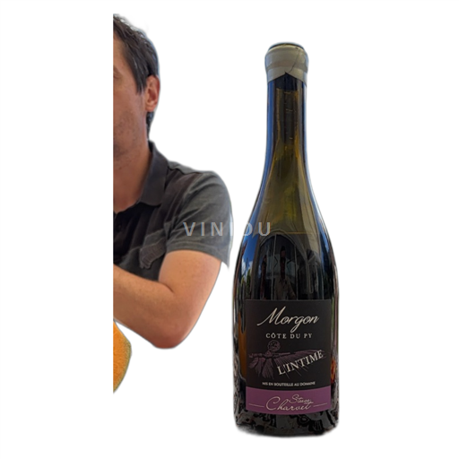 Beaujolais Morgon Steve Charvet L'Intime Ei vuosikertaa