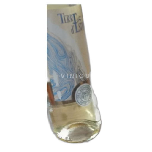 Vin Blanc sec Terre Estuaire 2023 France Bordeaux AOC