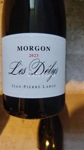 Vin Rouge sec Les Délys Jean-Pierre Large 2023 France Beaujolais Morgon AOC