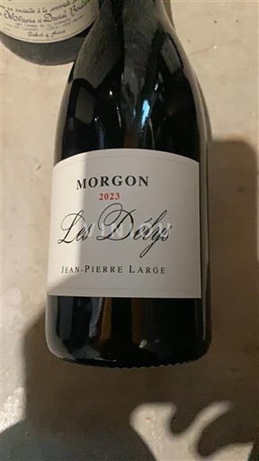 Beaujolais Morgon Jean-Pierre Large Les Délys 2023