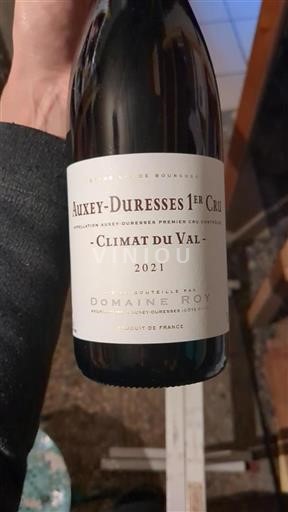 Borgoña No especificado Premier Cru Domaine Roy Climat du Val 2021