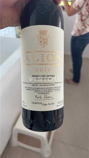 Castilien og León Ribera del Duero Bodegas y Viñedos Alión Alión 2014