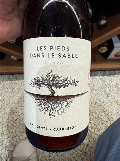 Sudoeste No especificado La Pointe - Capbreton Les Pieds dans le Sable Sin añada