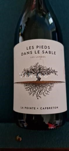 Sørvest Ikke spesifisert La Pointe - Capbreton Les Pieds dans le Sable Ikke-årgang