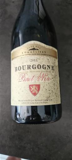 Bourgogne Pinot Noir 2013