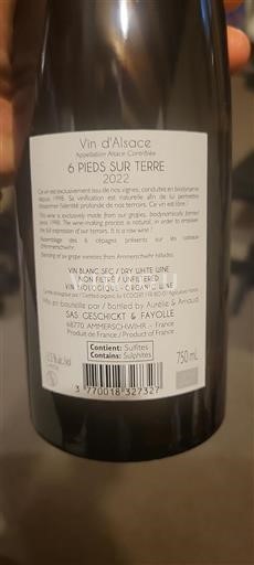 Alsace Grand Cru Geschickt 6 Pieds Sur Terre 2022