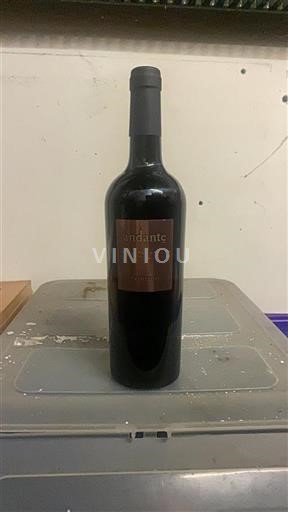 Apulia Wines Unspecified Andante 2023
