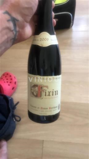 Bourgogne Fixin Vincent et Denis Berthaut 2009