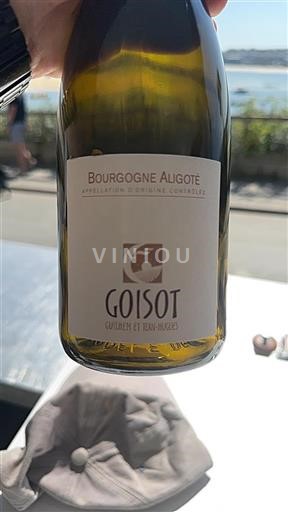 Burgundy Bourgogne Aligoté Goisot Non-Vintage