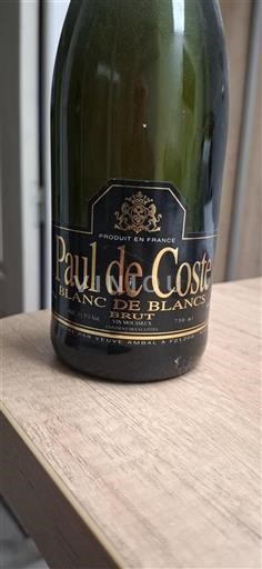 Bourgogne Ikke specificeret Paul de Coste Blanc de Blancs Ikke årgangsbestemt