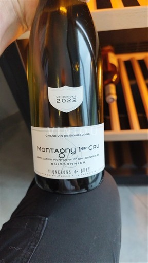 Burgund Ikke spesifisert Premier Cru Vignerons de Buxy Buissonnier 2022
