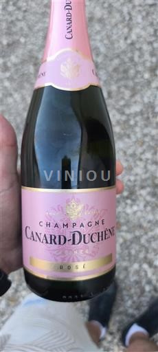 Vin Effervescent Rosé sec Rosé Canard-Duchêne Non millésimé France Champagne AOC