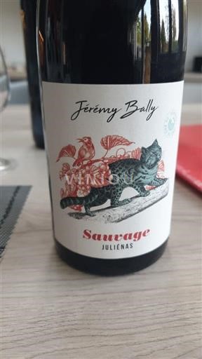 Beaujolais Juliénas Jérémy Bally Sauvage Non-Vintage