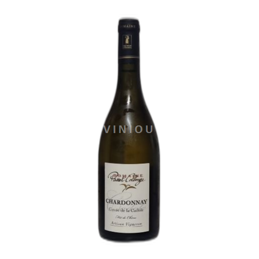 Beaujolais Beaujolais-kylät Domaine Passot Collonge de la Cadole 2023