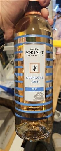 Languedoc Määrittelemätön Maison Fortant Grenache Gris 2023