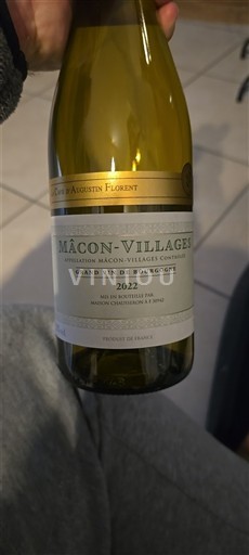 Bourgondië Mâcon en mâcon-dorpen Cave Augustin Florent 2022