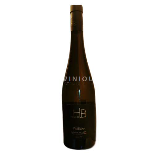 Vin Blanc sec Cuvée Millésime Beauvignac 2022 France Languedoc Picpoul-de-pinet AOC