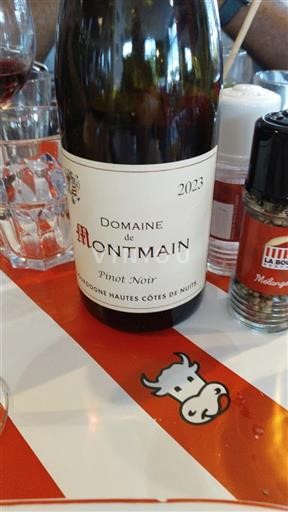 Burgundi Määrittelemätön Domaine Montmain Pinot Noir 2023