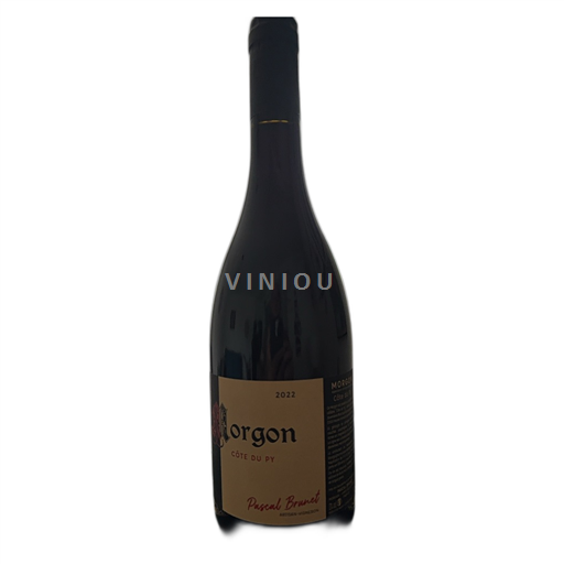 Beaujolais Morgon Pascal Brunet Côte du Py 2022