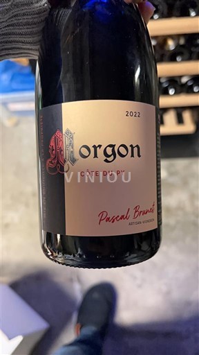 Beaujolais Morgon Pascal Brunet Côte du Py 2022
