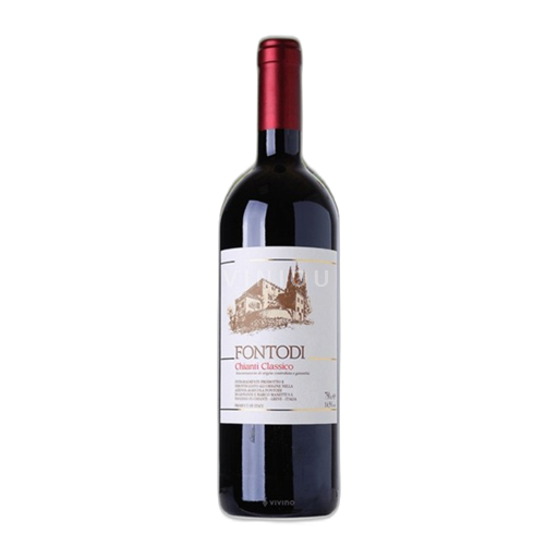 Toscana Chianti Classico Fontodi 2021