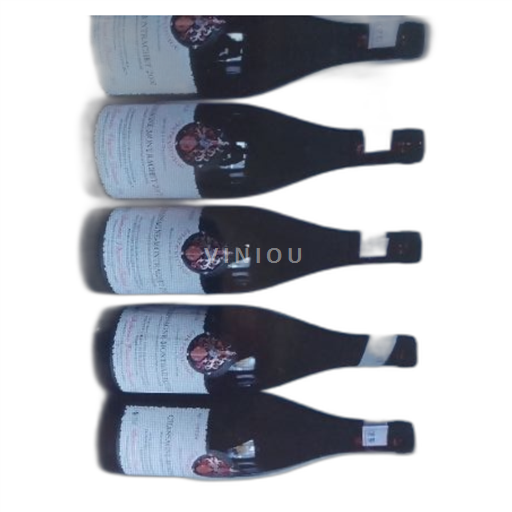 Bourgogne Chassagne-montrachet Domaine Vincent Prunier 2007