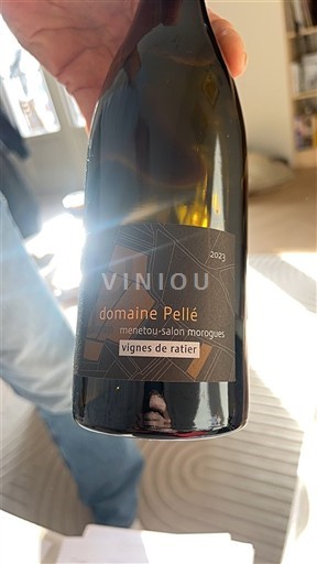 Valle del Loira Menetou-Salon Domaine Pellé Vignes de Ratier 2023
