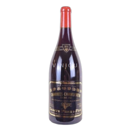 Borgogna Chambertin Premier Cru Camus Charme Chambertin 2018