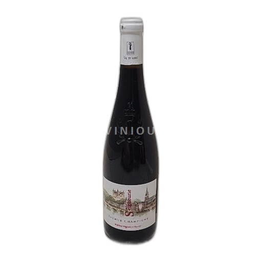 Valle della Loira Saumur-Champigny Vielles Vignes à Pierrot 2020
