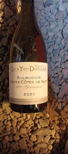 Burgund Hautes Côtes de Nuits Domaine Guy & Yvan Dufouleur 16ème Génération 2020