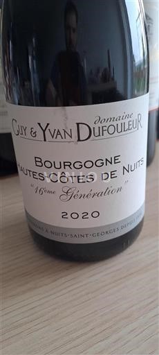 Burgundija Hautes Côtes de Nuits Domaine Guy & Yvan Dufouleur 16ème Génération 2020