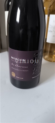 Beaujolais Morgon Les Charmes 2020
