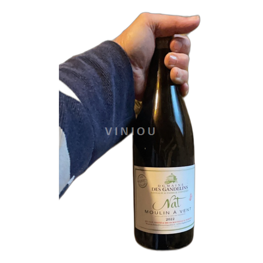 Vin Rouge sec Nat Domaine Des Gandeliers 2022 France Beaujolais Moulin-à-vent AOC