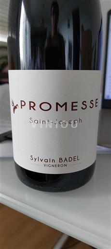 Rhônevallei Saint-Joseph Sylvain Badel Promesse 2023