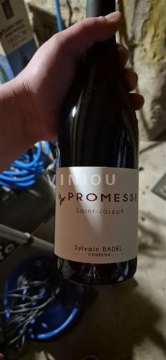 Rhône Valley Saint-Joseph Sylvain Badel Promesse 2023